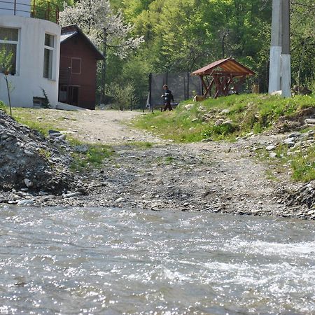 Pension Belmonte Sîmbăta de Sus Exteriör bild